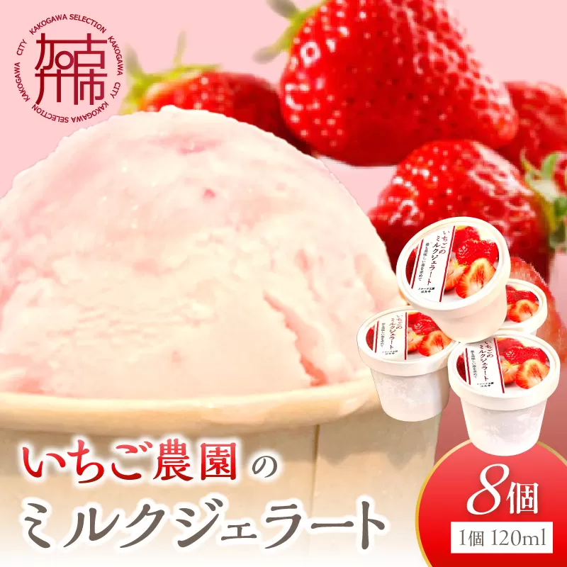 いちごミルクジェラート《 ジェラート アイス カップ いちご ミルク スイーツ 》【2501H09703】