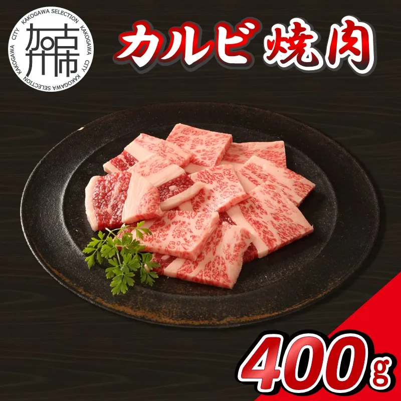 【14営業日以内に発送】神戸牛カルビ焼肉 400g(200g×2)《 肉 牛肉 神戸牛 カルビ 網焼き 焼肉 ばら 400g 冷凍 》【2501A16906】