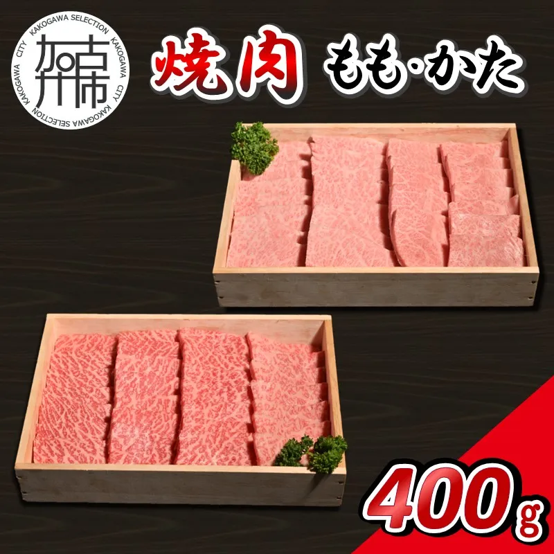 【14営業日以内に発送】神戸牛焼肉(もも・かた) 各200g×1《 肉 牛肉 神戸牛 ももかた 網焼き 焼肉 400g 冷凍 》【2501A16907】