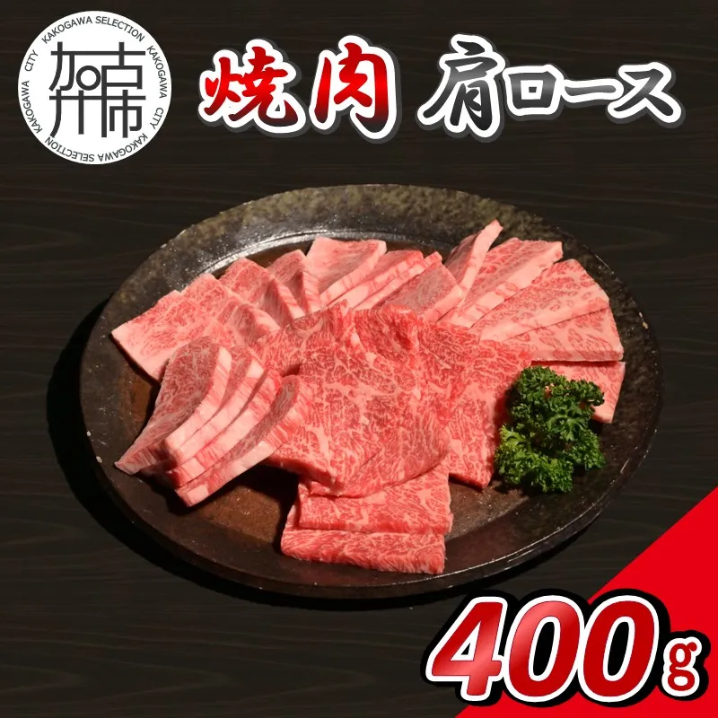 【14営業日以内に発送】神戸牛焼肉(肩ロース) 400g(200g×2)《 肉 牛肉 神戸牛 肩ロース 網焼き 焼肉 400g 冷凍 》【2502A16908】