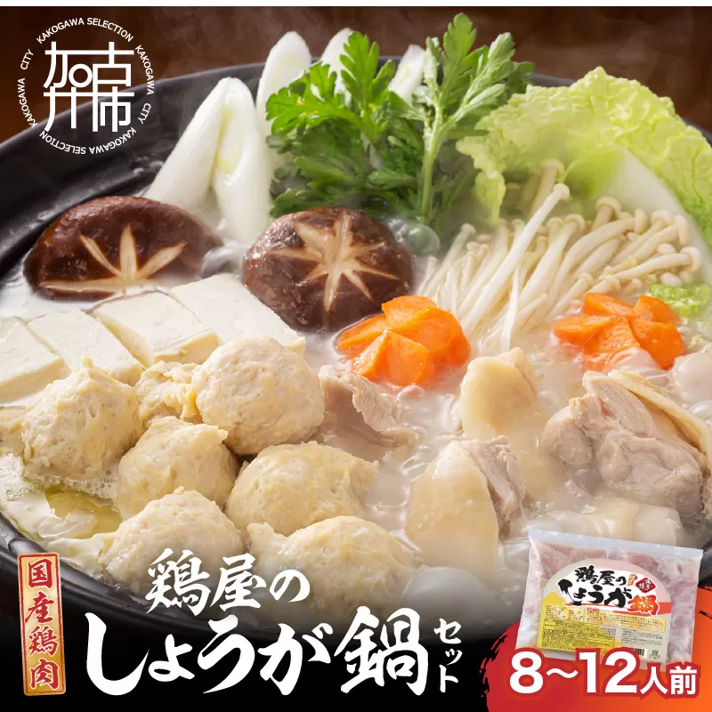 鶏しょうが鍋セット《 鍋 なべ 鍋セット 鶏肉 生姜 ショウガ 》【2401I16009】