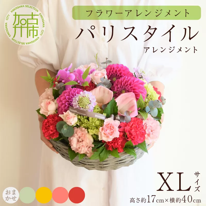 【フラワーアレンジメント】パリスタイルアレンジメント(XLサイズ)【5色カラバリ展開】【2406U03809】