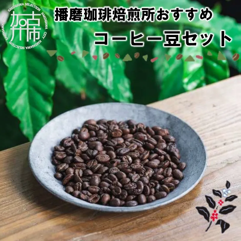 播磨珈琲焙煎所おすすめコーヒー豆セット《 珈琲 コーヒー 珈琲豆 オリジナルブレンド ミャンマー セット 詰め合わせ 》【114003G000】