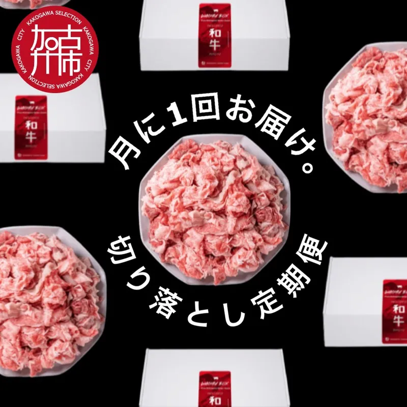 全12回定期便 肉のまち加古川 プリンセス和牛 切り落とし(500g×12か月)《 定期便 肉 和牛 切り落とし 牛肉 肉じゃが 牛丼 プルコギ カレー 日常使い おいしい おすすめ 贈答 プレゼント 》【115006A000】