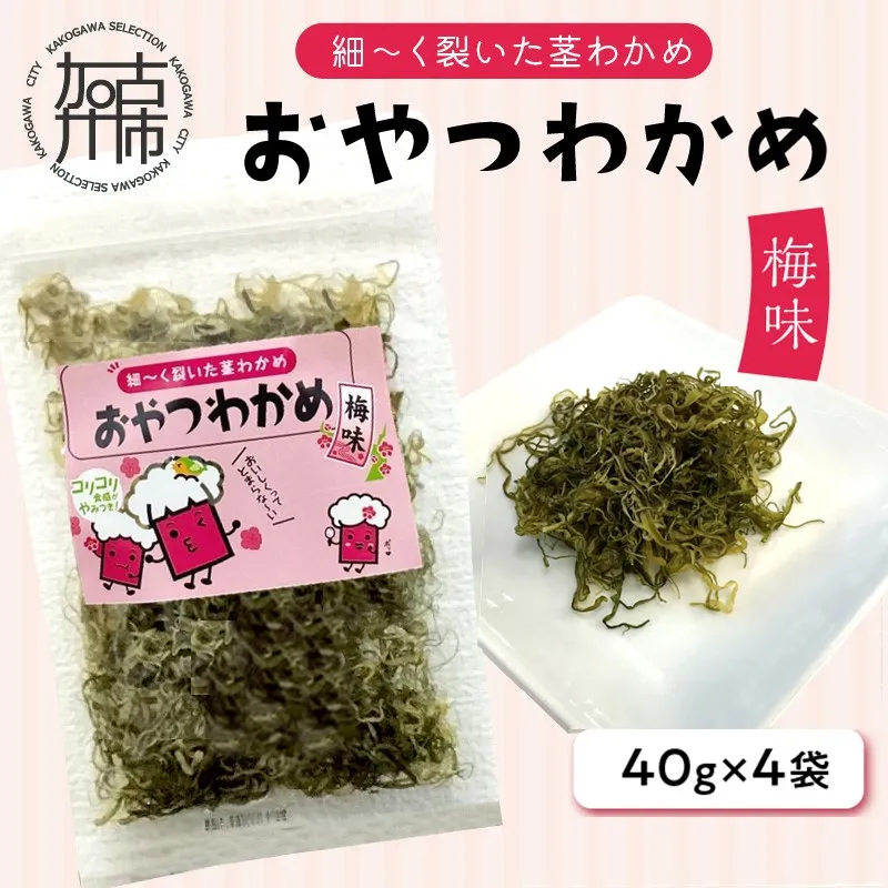 おやつわかめ梅味BIG 160g(40g×4)《 海藻 わかめ ワカメ おやつ おやつわかめ おつまみ 珍味 茎わかめ ビックサイズ 》【034003D000】
