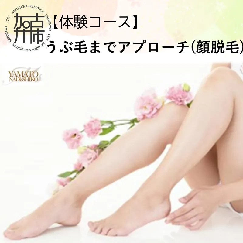 【体験コース】うぶ毛までアプローチ(顔脱毛)《 美容 脱毛 顔 うぶ毛 体験 女性 ご褒美 贅沢 息抜き 》【118003L000】