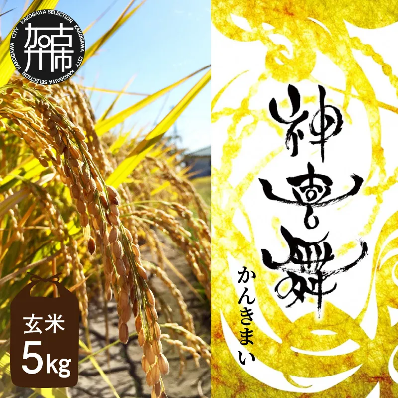 お米 【神喜舞】 玄米5kg [令和7年産]《 お米 玄米 5キロ 安心 安全 米 おこめ 国産 送料無料 ヒノヒカリ 》【084004B000】