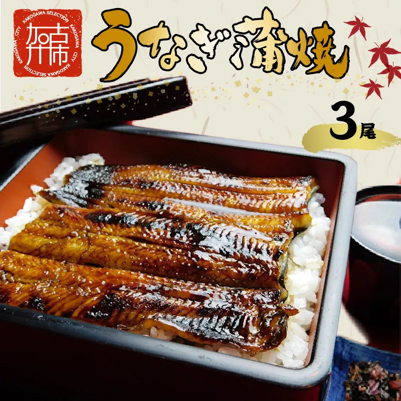 鰻の蒲焼き3尾(6パック)たれ別・挽きたて粉山椒付《ふっくら 焼きたて うなぎ蒲焼き お茶漬け ひつまぶし》【056001D000】