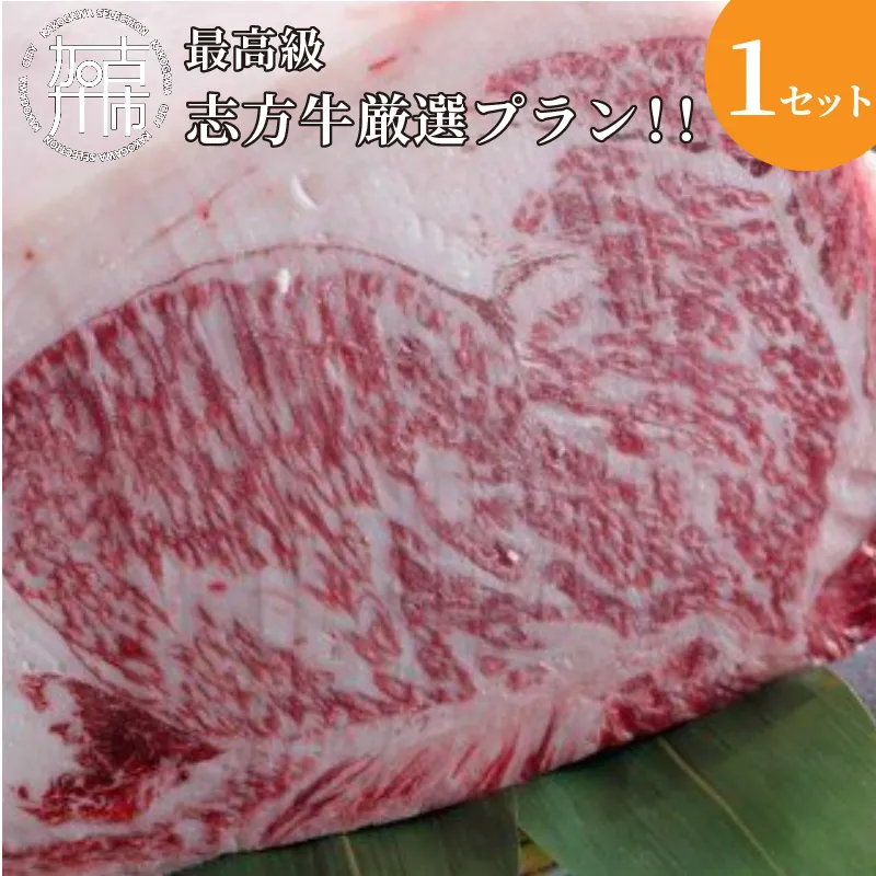 ★☆贅沢なお肉を心ゆくまで☆★最高級志方牛厳選プラン！！【2499A00402】