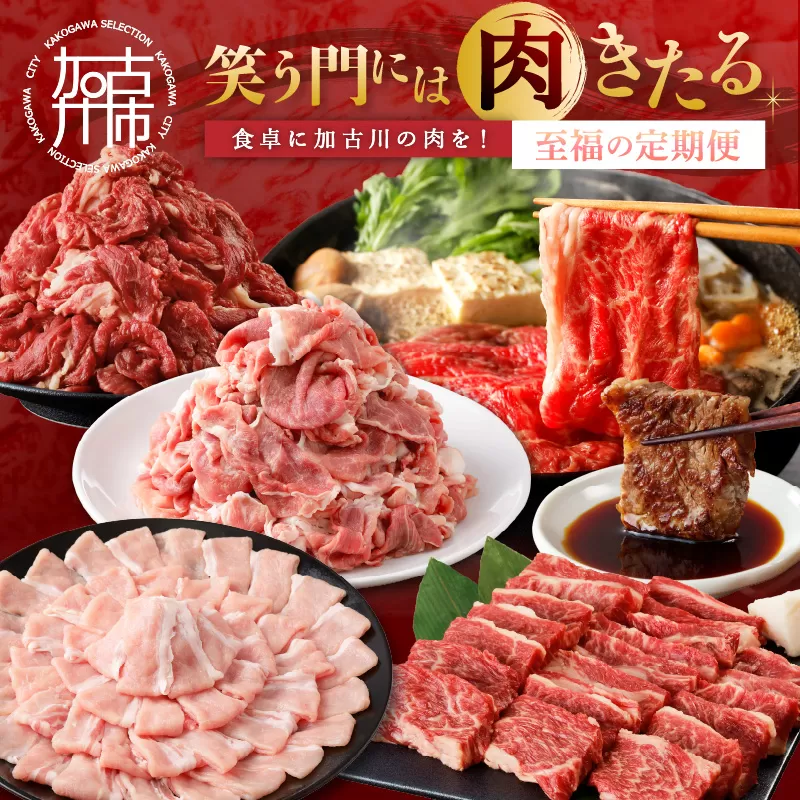 「笑う門には肉きたる」食卓に加古川の肉を！至福の定期便《 お肉 牛肉 豚肉 定期便 志方牛 カルビ ローストビーフ ポーク バーベキュー しゃぶしゃぶ すき焼き 》【2507A00202】