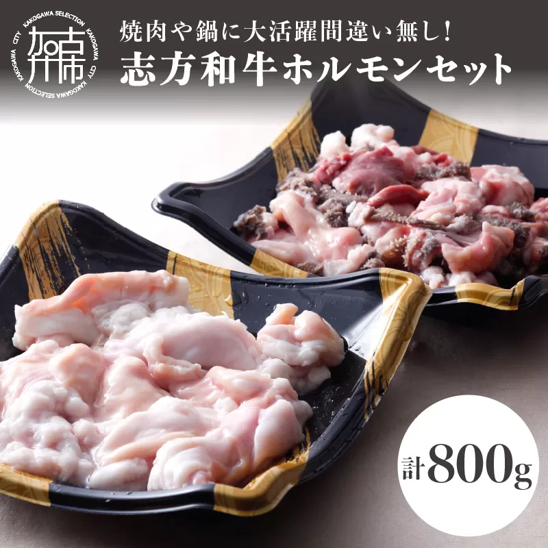 志方和牛ホルモンセット(小腸400g・MIXホルモン400g)〈 牛肉 肉 ホルモン 冷凍 焼肉 国産 和牛 〉【2401A00615】