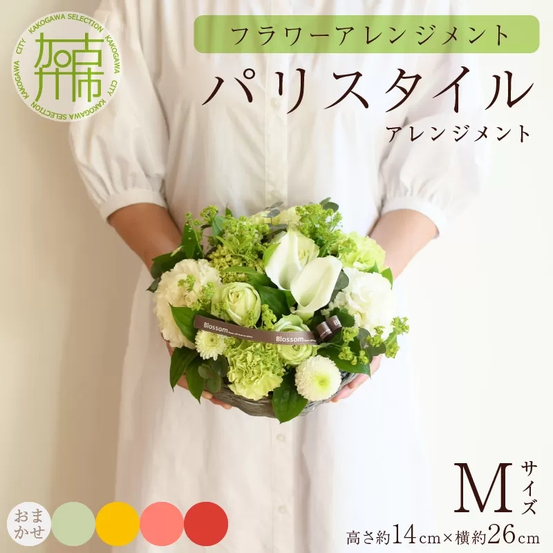 【フラワーアレンジメント】パリスタイルアレンジメント(Mサイズ)【5色カラバリ展開】【2402U03805】