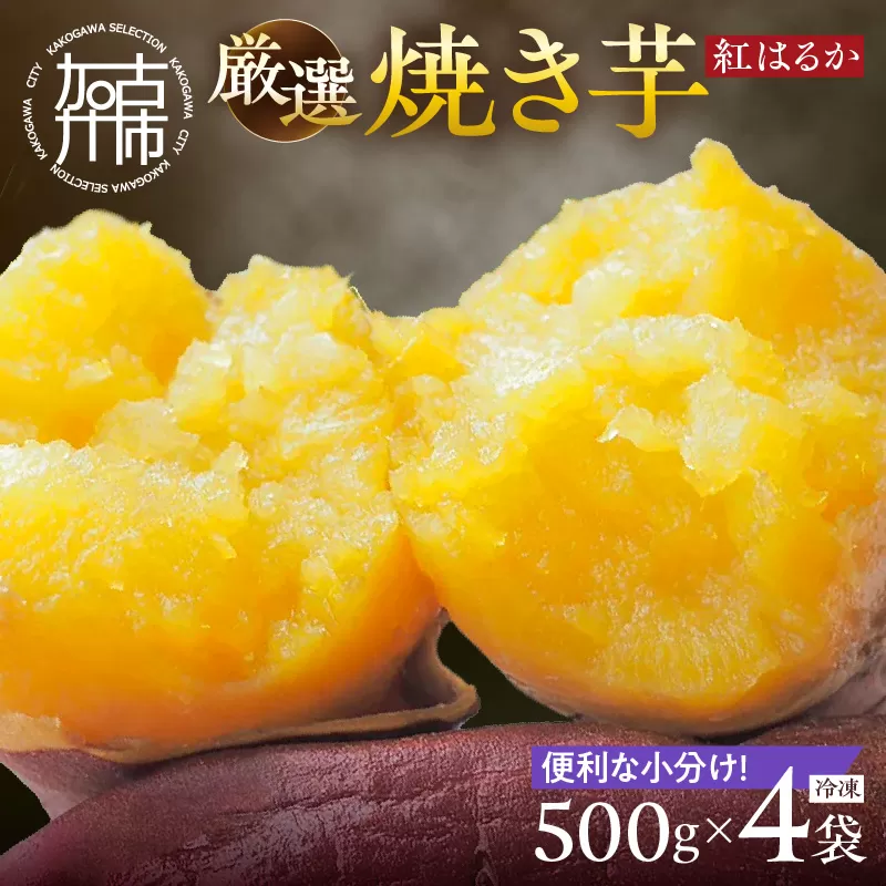 焼き芋《 紅はるか お芋 やきいも さつまいも 冷凍焼き芋 いも 2kg 》【2501H16501】