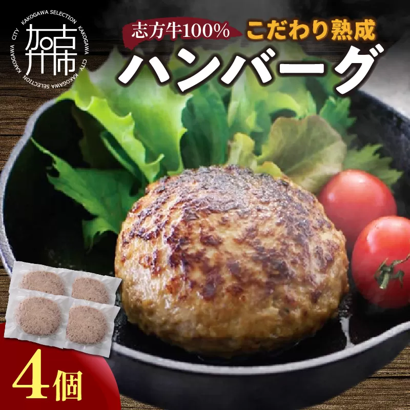 【国産】志方牛100%のこだわり熟成ハンバーグ150g×4個