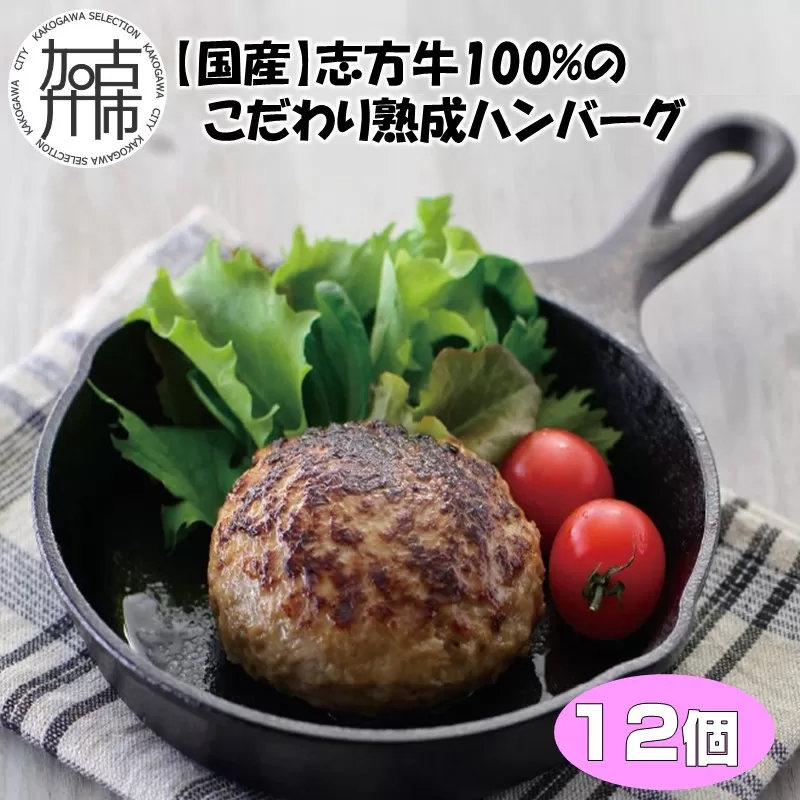 【国産】志方牛100%のこだわり熟成ハンバーグ150g×12個