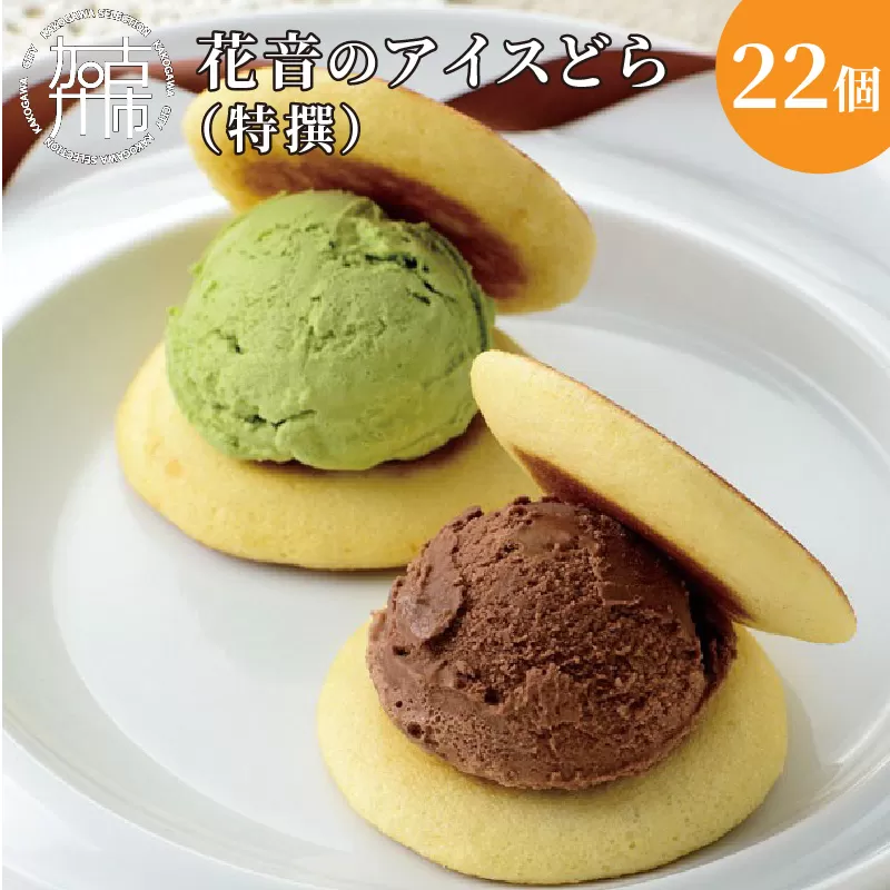 花音のアイスどら 22個詰合せ(特撰)《 アイス どら焼き 詰め合わせ チョコ イチゴ バニラ 抹茶 デザート お土産 銘菓 おみやげ お菓子 菓子 おやつ スイーツ 》【2402H05907】