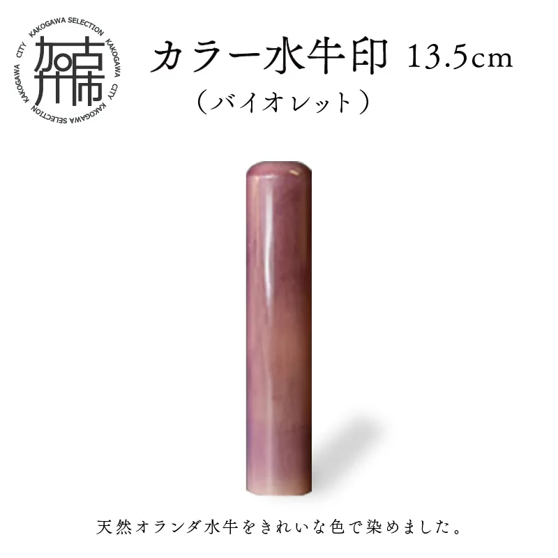 カラー水牛印【天然オランダ水牛】(バイオレット)13.5mm