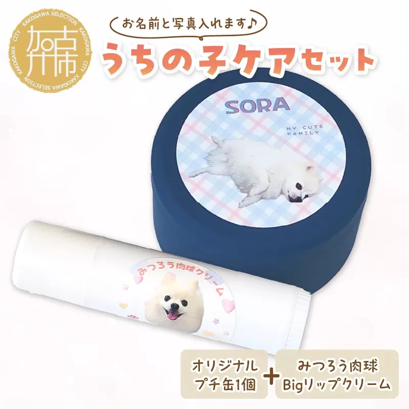 うちの子ケアセット オリジナルプチ缶1個+うちの子専用肉球Bigリップクリームセット 《 犬 ケア みつろう リップクリーム 缶 セット 詰め合わせ オリジナル ホホバオイル 》