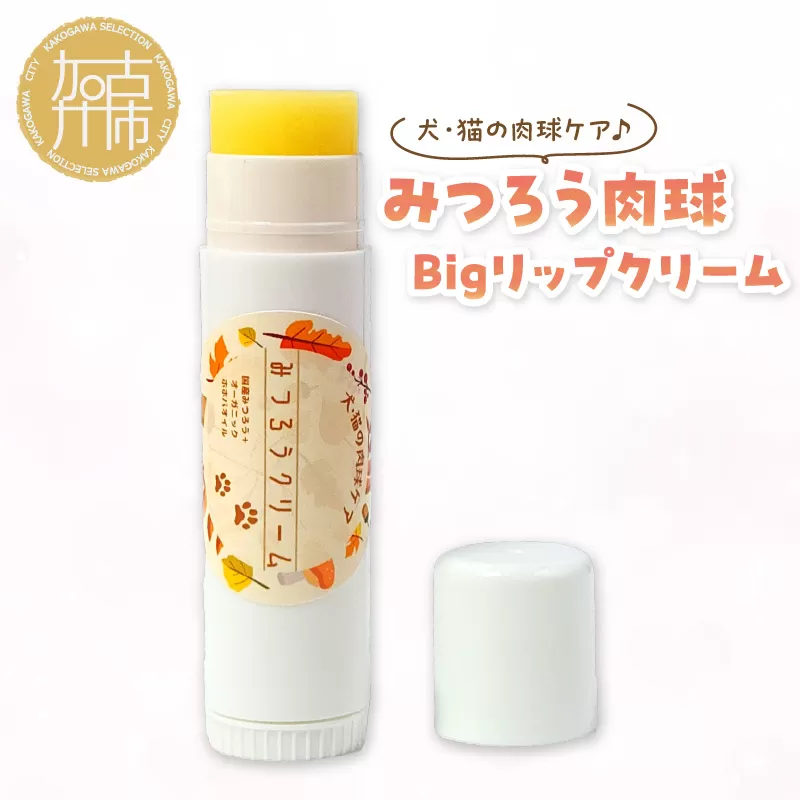 みつろう肉球クリーム Bigリップクリーム 《 ペットグッズ 犬 ケア みつろう リップクリーム クリーム ホホバオイル 》