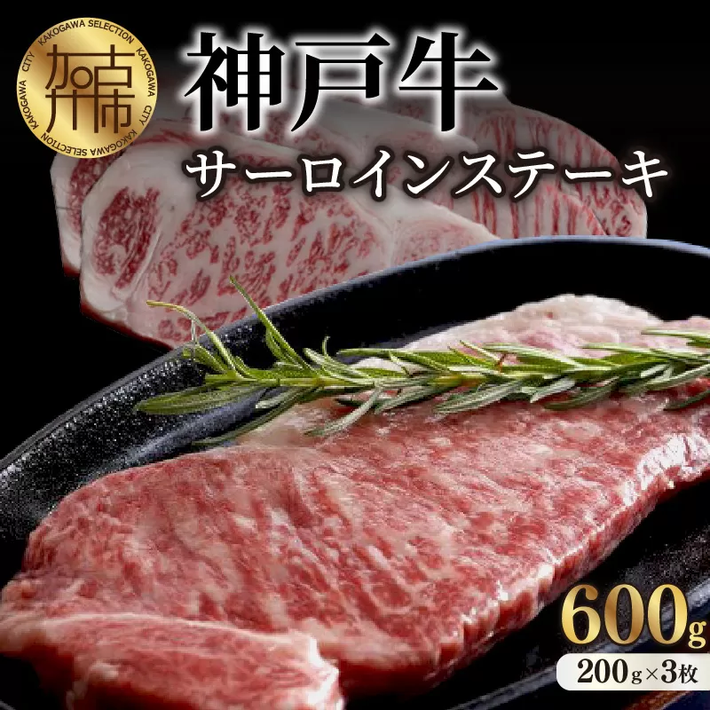 神戸牛サーロインステーキ(200g×3枚)《 肉 牛肉 牛 神戸牛 国産牛 サーロイン ステーキ 》【2407A00117】
