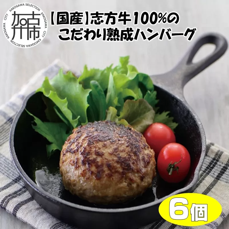 【国産】志方牛100%のこだわり熟成ハンバーグ150g×6個