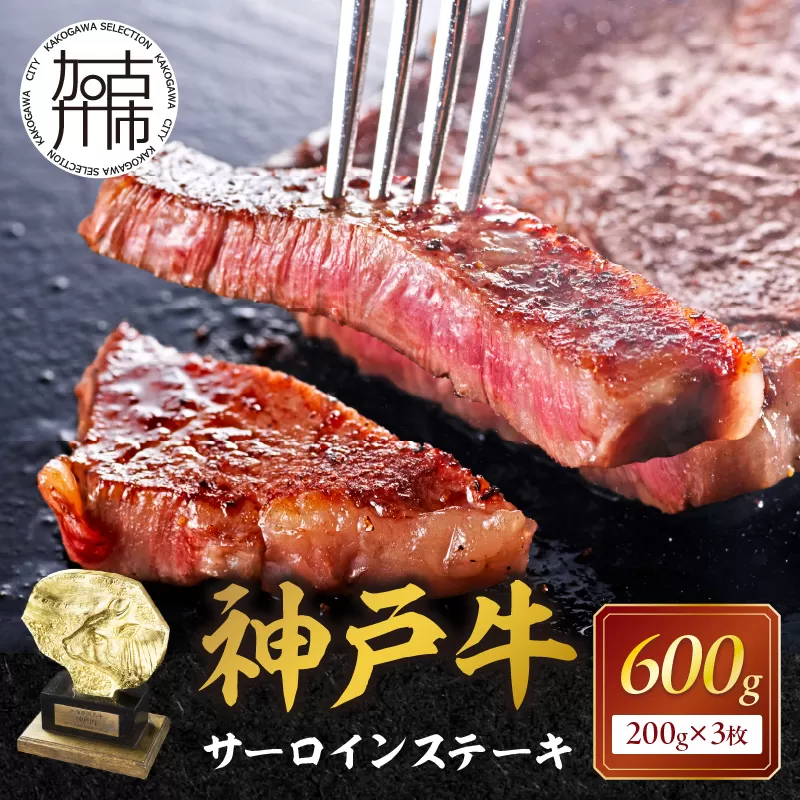 神戸牛サーロインステーキ(200g×3枚)《 肉 牛肉 牛 神戸牛 国産牛 サーロイン ステーキ 》【2407A00117】