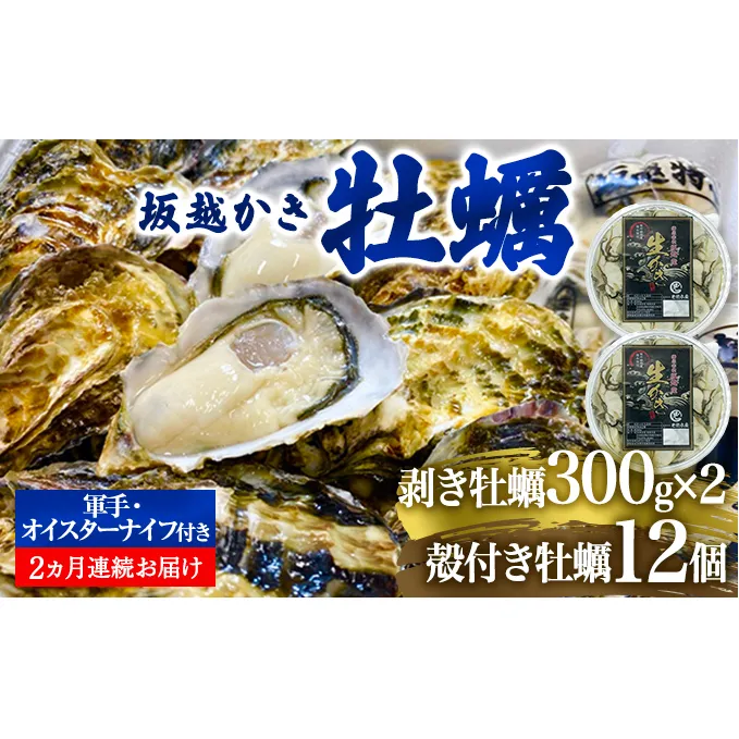  定期便 牡蠣 坂越かき 剥き牡蠣 300g×2、殻付き牡蠣 12個 オイスターナイフ付き【2ヵ月連続お届け】[ 生牡蠣 かき カキ 生食 冬牡蠣 ] 魚貝類 
