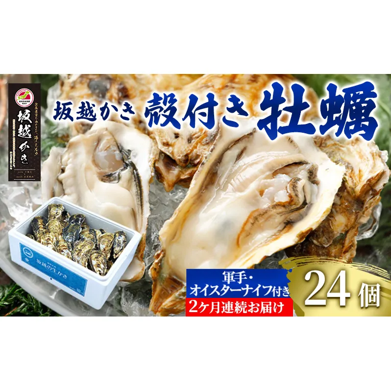 定期便 牡蠣 坂越かき 殻付き牡蠣 24個 オイスターナイフ付き【2ヵ月連続お届け】[ 生牡蠣 かき カキ 殻付 生食 冬牡蠣 ] 魚貝類