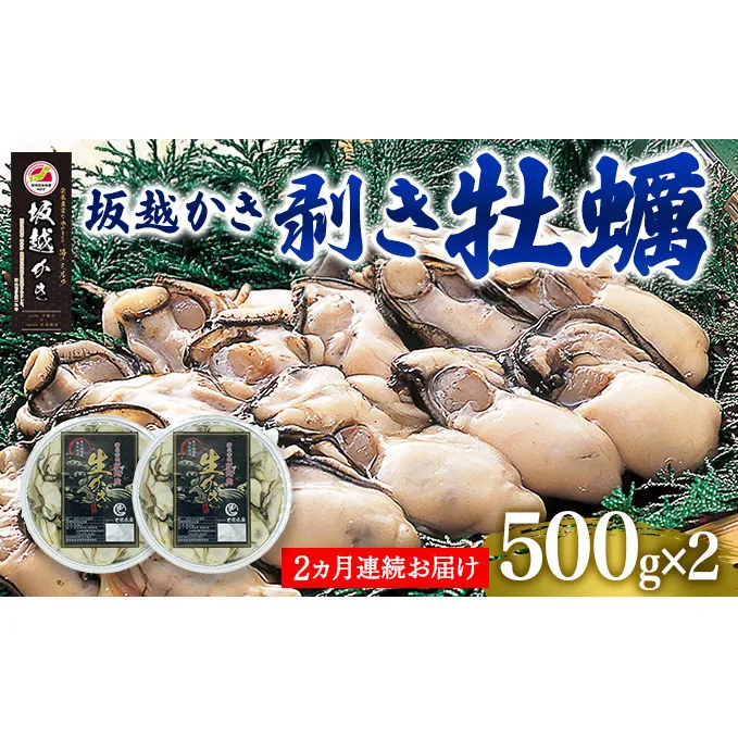 定期便 牡蠣 坂越かき 剥き牡蠣 500g×2【2ヵ月連続お届け】[ 生牡蠣 かき カキ むき身 剥き身 生食 冬牡蠣 ] 魚貝類 1kg
