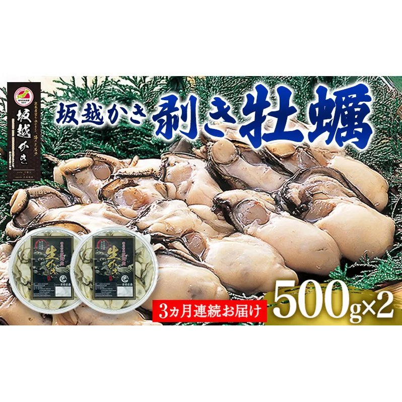 定期便 牡蠣 坂越かき 剥き牡蠣 500g×2【3ヵ月連続お届け】[ 生牡蠣 かき カキ むき身 剥き身 生食 冬牡蠣 ] 魚貝類