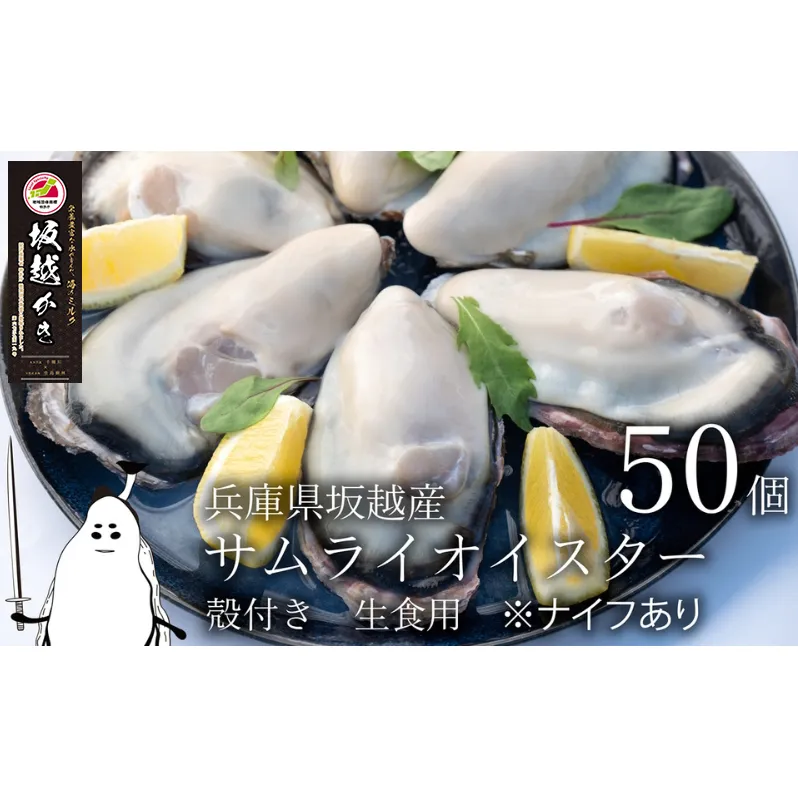 牡蠣 生食 坂越かき 殻付き 50個(牡蠣ナイフ・軍手付き)サムライオイスター 生牡蠣 冬牡蠣 魚貝類 