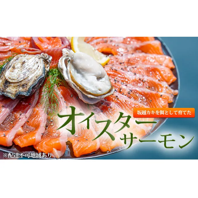 兵庫県産 オイスターサーモン（冷凍）（フィレ 2枚）計600g ～坂越カキを餌として育てたオイスターサーモン～ 鮭 魚貝類 加工食品 