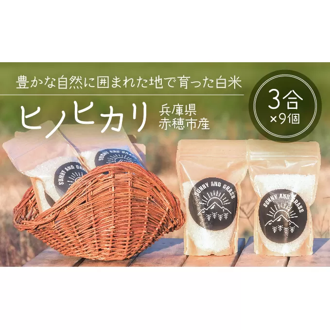 キャンプなどのアウトドアにぴったり！1人暮らしにもおすすめのジッパー付きパック入り白米『ヒノヒカリ』（3合パック×9個） お米 ひのひかり キャンプ持参 アウトドア持参 