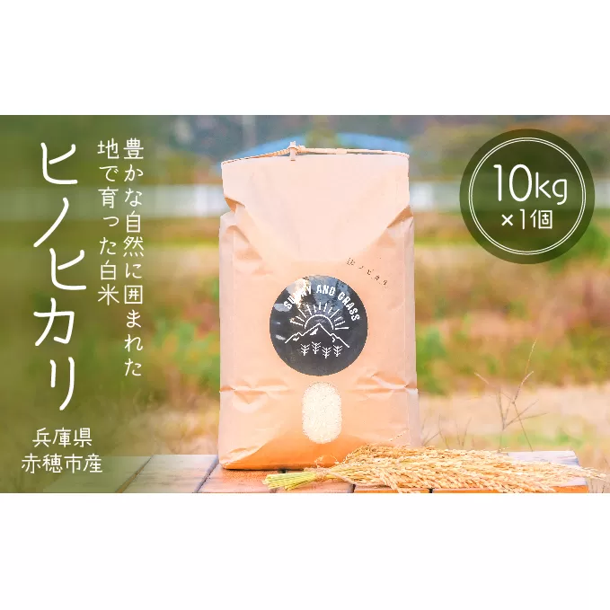 どんな料理とも相性抜群！赤穂市の清流が育んだ白米『ヒノヒカリ』（10kg×1個） お米 ひのひかり 