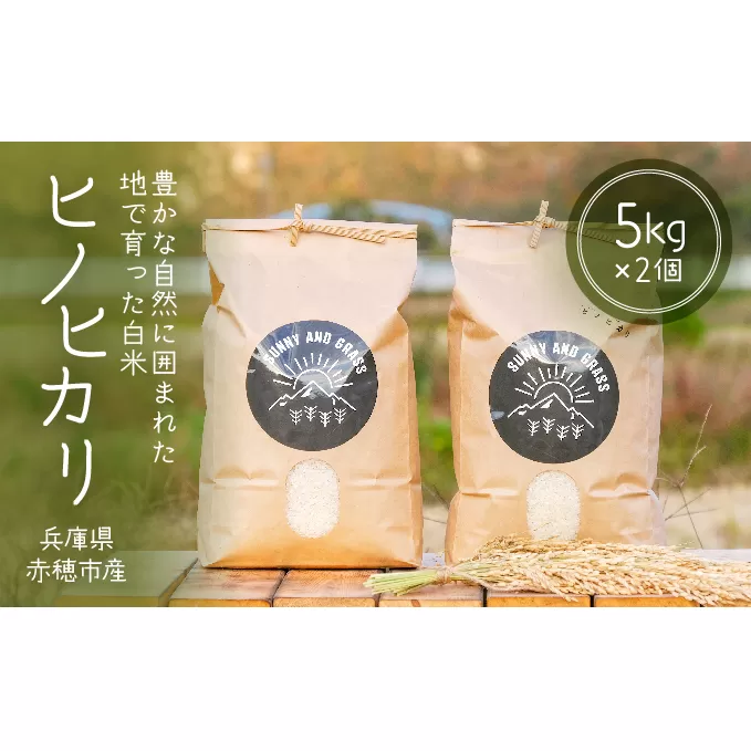 どんな料理とも相性抜群！赤穂市の清流が育んだ白米『ヒノヒカリ』（5kg×2個） お米 ひのひかり 