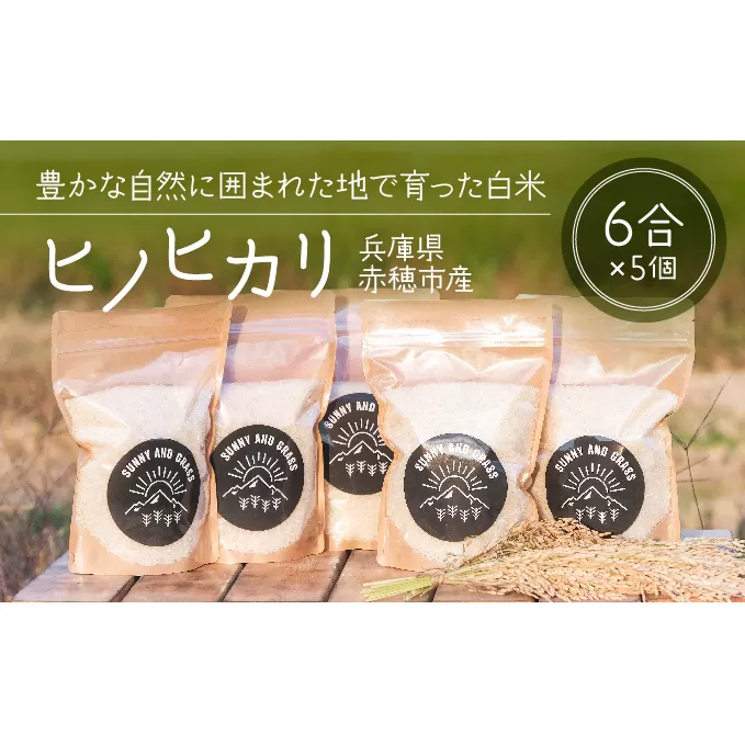 キャンプなどのアウトドアにぴったり！1人暮らしにもおすすめのジッパー付きパック入り白米『ヒノヒカリ』（6合パック×5個） お米 ひのひかり キャンプ持参 アウトドア持参 