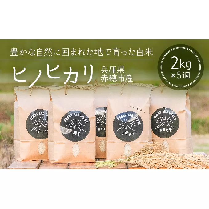 どんな料理とも相性抜群！赤穂市の清流が育んだ白米『ヒノヒカリ』（2kg×5個） お米 ひのひかり 