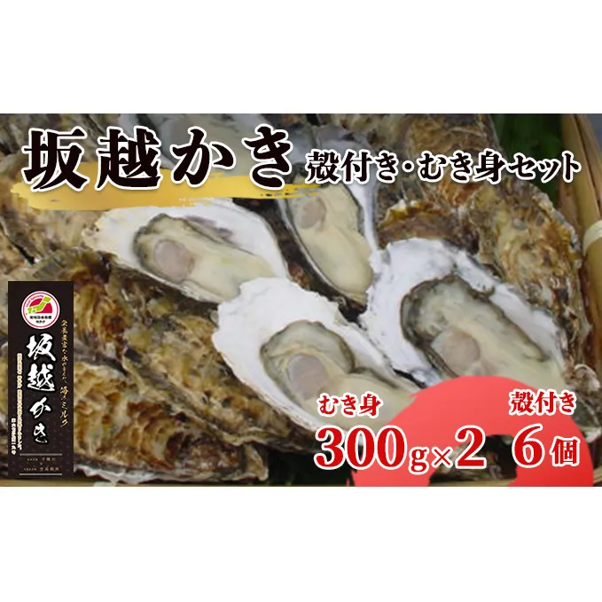 【2025年1月中旬から出荷】坂越かき 殻付き6個・むき身 (300g×2)セット（北海道・沖縄・離島への配送不可）[ 牡蠣 冬牡蠣 ] 魚貝類 牡蠣の剥き身 一年牡蠣 えぐみが少ない ほのかな甘 み縮みにくい 新鮮 
