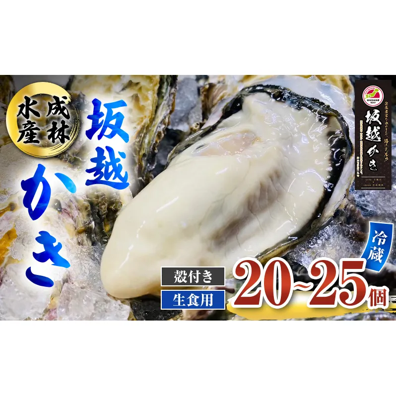 牡蠣 生食用 坂越かき 殻付き 20～25個 成林水産 [ 生牡蠣 真牡蠣 かき カキ 冬牡蠣 ] 魚貝類 海鮮 海のミルク 身が大きい 濃厚 
