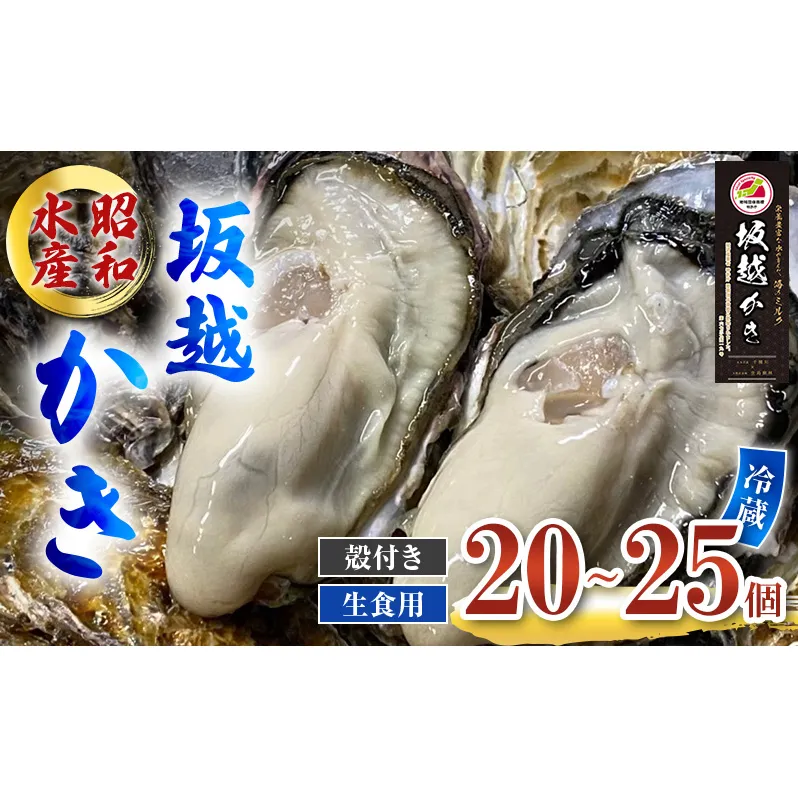 牡蠣 生食用 坂越かき 殻付き 20～25個 昭和水産 [ 生牡蠣 真牡蠣 かき カキ 冬牡蠣 ] 魚貝類 海鮮 海のミルク 身が大きい 濃厚 