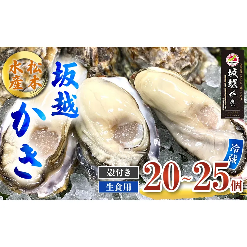 牡蠣 生食用 坂越かき 殻付き 20～25個 松本水産 [ 生牡蠣 真牡蠣 かき カキ 冬牡蠣 ] 魚貝類 海鮮 海のミルク 身が大きい 濃厚 