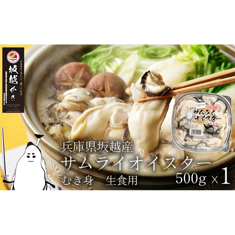 サムライオイスター 牡蠣 むき身 500g 生食用 坂越 かき 生ガキ 生牡蠣 カキ 生食 坂越の牡蠣 オイスター 魚介 魚介類 貝 貝類 海鮮 兵庫 兵庫県 赤穂市