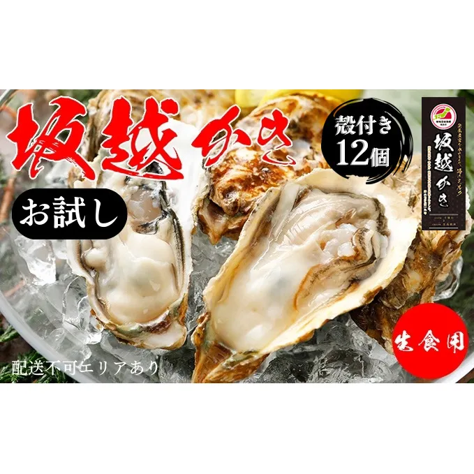 牡蠣 お試し 坂越かき 殻付き牡蠣 12個 軍手・オイスターナイフ付き[ 生牡蠣 かき カキ 殻付 生食 一人暮し 冬牡蠣 ] 魚貝類 海鮮 海の幸 1年牡蠣 濃厚 クリーミー