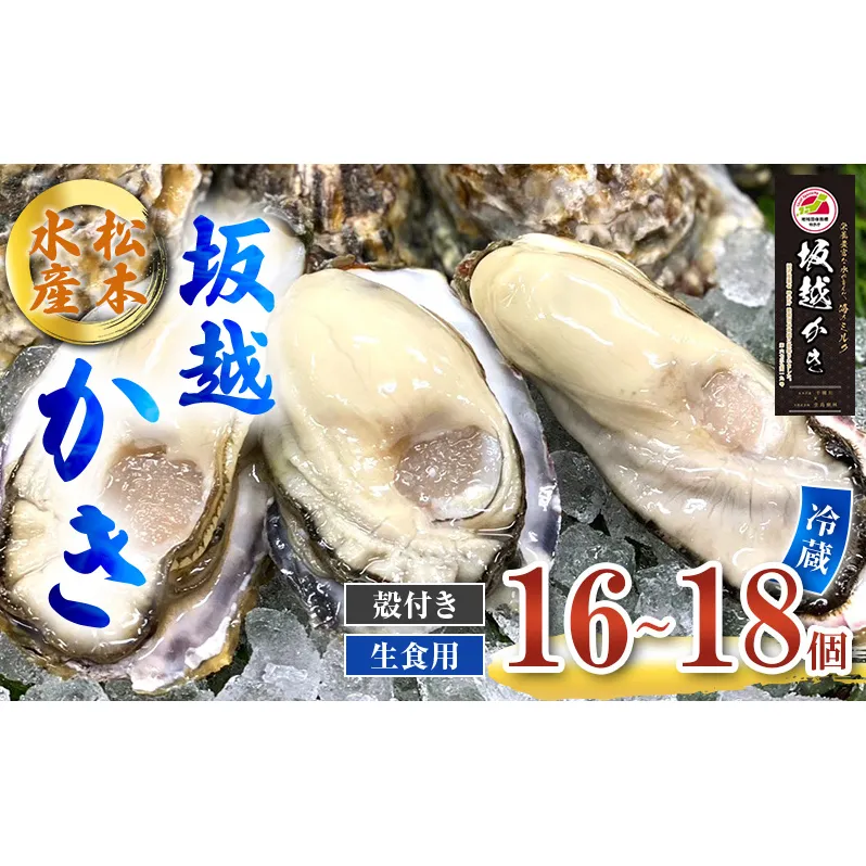 牡蠣 生食用 坂越かき 殻付き 16～18個 松本水産 [ 生牡蠣 真牡蠣 かき カキ 冬牡蠣 ] 魚貝類 名水百選 天然記念物 生島樹林 栄養 海 ミルク 濃厚 旨味 厳選 新鮮 