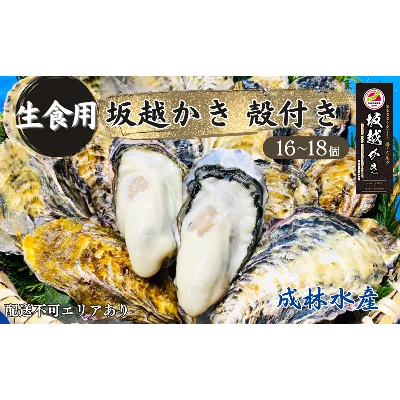 牡蠣 生食用 坂越かき 殻付き 16～18個 成林水産 [ 生牡蠣 真牡蠣 かき カキ 冬牡蠣 ] 魚貝類 名水百選 天然記念物 生島樹林 栄養 海 ミルク 濃厚 旨味 厳選 新鮮 
