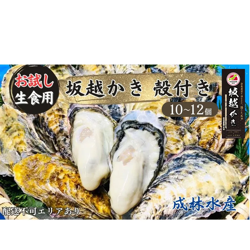 牡蠣 生食用 お試し 坂越かき 殻付き 10～12個 成林水産 [ 生牡蠣 真牡蠣 かき カキ 一人暮し 冬牡蠣 ] 魚貝類 名水百選 天然記念物 生島樹林 栄養 海 ミルク 濃厚 旨味 厳選 新鮮 