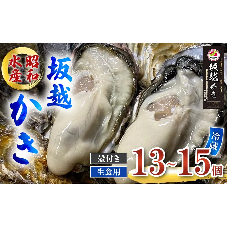 牡蠣 生食用 お試し 坂越かき 殻付き 13～15個 昭和水産 [ 生牡蠣 真牡蠣 かき カキ 一人暮し 冬牡蠣 ] 魚貝類 名水百選 天然記念物 生島樹林 栄養 海 ミルク 濃厚 旨味 厳選 新鮮 