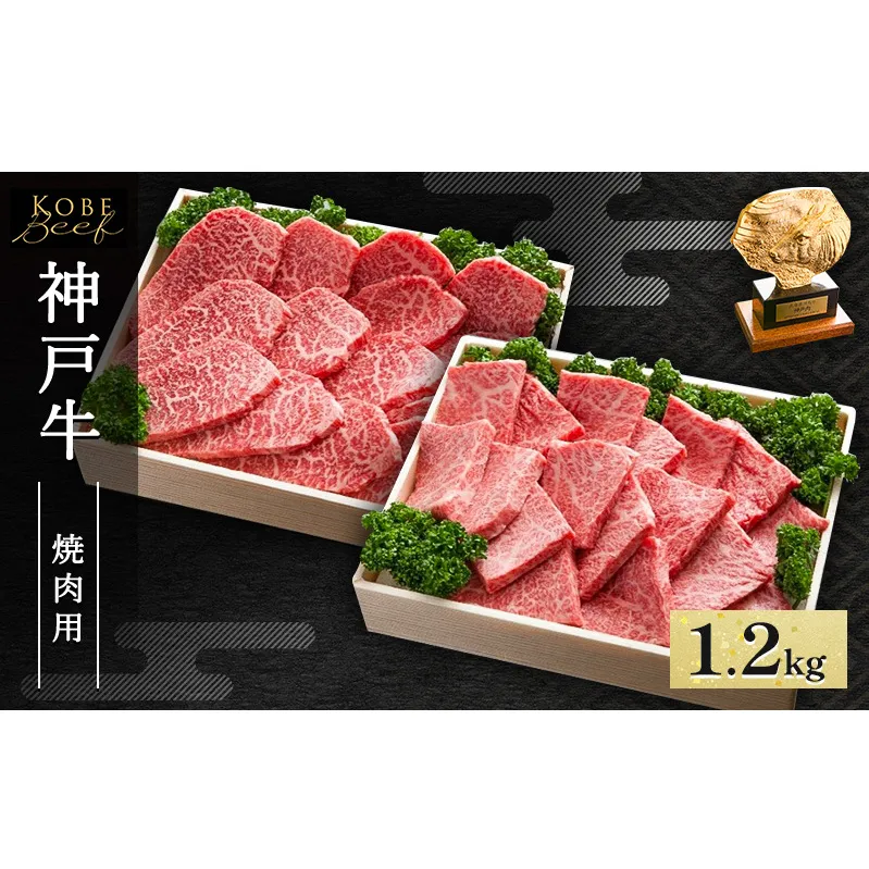 神戸牛 焼肉用 セット 計1.2kg AKYS5[ 肉 牛肉 神戸ビーフ かたロース ロース かた もも バーベキュー キャンプ アウトドア ] 