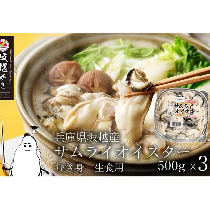 牡蠣 生食 坂越かき むき身 500g×3 サムライオイスター かき 生牡蠣 兵庫県 赤穂市 魚貝類 