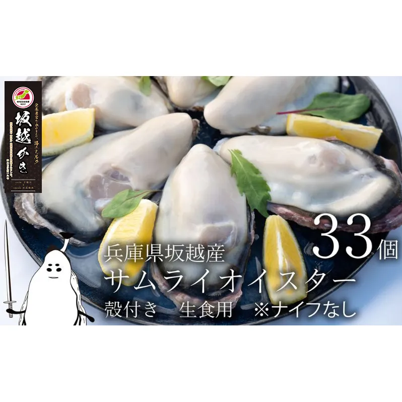 牡蠣 生食 坂越かき 殻付き33個【ナイフなし】サムライオイスター かき 生牡蠣 兵庫県 赤穂市 魚貝類 